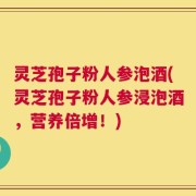 灵芝孢子粉人参泡酒(灵芝孢子粉人参浸泡酒，营养倍增！)