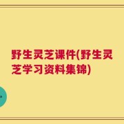 野生灵芝课件(野生灵芝学习资料集锦)