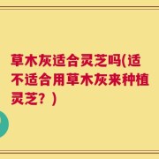 草木灰适合灵芝吗(适不适合用草木灰来种植灵芝？)