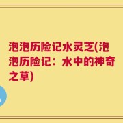 泡泡历险记水灵芝(泡泡历险记：水中的神奇之草)