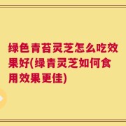 绿色青苔灵芝怎么吃效果好(绿青灵芝如何食用效果更佳)