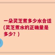 一朵灵芝煮多少水合适(灵芝煮水的正确量是多少？)