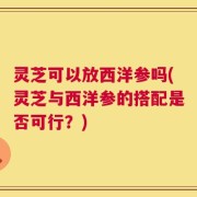 灵芝可以放西洋参吗(灵芝与西洋参的搭配是否可行？)