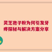 灵芝孢子粉为何引发牙疼探秘与解决方案分享