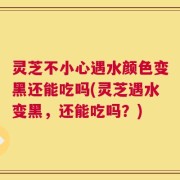 灵芝不小心遇水颜色变黑还能吃吗(灵芝遇水变黑，还能吃吗？)
