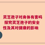 灵芝孢子对身体有害吗 探究灵芝孢子的安全性及其对健康的影响