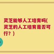 灵芝能够人工培育吗(灵芝的人工培育是否可行？)