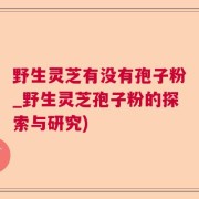 野生灵芝有没有孢子粉_野生灵芝孢子粉的探索与研究)