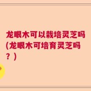 龙眼木可以栽培灵芝吗(龙眼木可培育灵芝吗？)