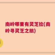 南岭哪里有灵芝捡(南岭寻灵芝之旅)