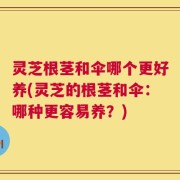 灵芝根茎和伞哪个更好养(灵芝的根茎和伞：哪种更容易养？)