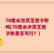 70度水泡灵芝孢子粉吗(70度水冲灵芝孢子粉是否可行？)