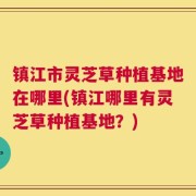 镇江市灵芝草种植基地在哪里(镇江哪里有灵芝草种植基地？)