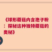 《球形蘑菇内含孢子粉：探秘这种独特蘑菇的奥秘》
