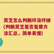 灵芝怎么判断坏没坏掉(判断灵芝是否变质方法汇总，简单易懂)