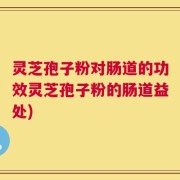 灵芝孢子粉对肠道的功效灵芝孢子粉的肠道益处)