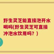 野生灵芝能直接泡开水喝吗(野生灵芝可直接冲泡水饮用吗？)
