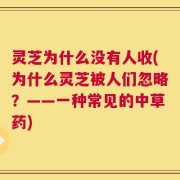 灵芝为什么没有人收(为什么灵芝被人们忽略？——一种常见的中草药)