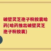 破壁灵芝孢子粉胶囊哈药(哈药推出破壁灵芝孢子粉胶囊)