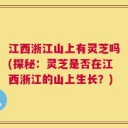 江西浙江山上有灵芝吗(探秘：灵芝是否在江西浙江的山上生长？)