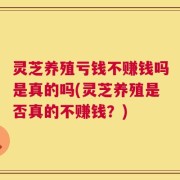 灵芝养殖亏钱不赚钱吗是真的吗(灵芝养殖是否真的不赚钱？)