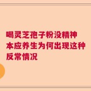 喝灵芝孢子粉没精神 本应养生为何出现这种反常情况
