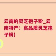 云南的灵芝孢子粉_云南特产：高品质灵芝孢子粉)