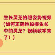生长灵芝拍照姿势视频(如何正确地拍摄生长中的灵芝？视频教学来了！)