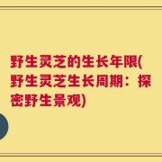 野生灵芝的生长年限(野生灵芝生长周期：探密野生景观)