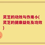 灵芝的功效与作用小(灵芝的健康益处及功效)