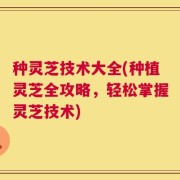 种灵芝技术大全(种植灵芝全攻略，轻松掌握灵芝技术)