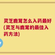 灵芝鹿茸怎么入药最好(灵芝与鹿茸的最佳入药方法)