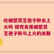 吃破壁灵芝孢子粉会上火吗 探究食用破壁灵芝孢子粉与上火的关联
