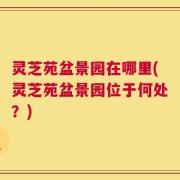 灵芝苑盆景园在哪里(灵芝苑盆景园位于何处？)