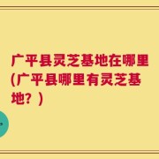 广平县灵芝基地在哪里(广平县哪里有灵芝基地？)