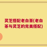 灵芝搭配老白茶(老白茶与灵芝的完美搭配)