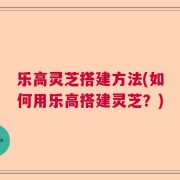 乐高灵芝搭建方法(如何用乐高搭建灵芝？)