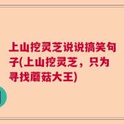 上山挖灵芝说说搞笑句子(上山挖灵芝，只为寻找蘑菇大王)