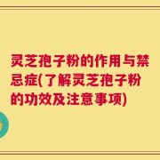 灵芝孢子粉的作用与禁忌症(了解灵芝孢子粉的功效及注意事项)