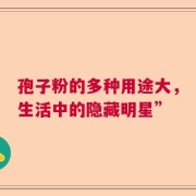孢子粉的多种用途大，生活中的隐藏明星”