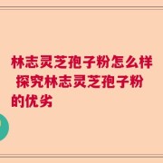 林志灵芝孢子粉怎么样 探究林志灵芝孢子粉的优劣