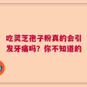 吃灵芝孢子粉真的会引发牙痛吗？你不知道的