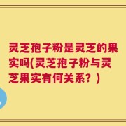灵芝孢子粉是灵芝的果实吗(灵芝孢子粉与灵芝果实有何关系？)
