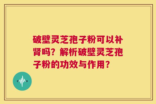 破壁灵芝孢子粉可以补肾吗？解析破壁灵芝孢子粉的功效与作用？  第1张