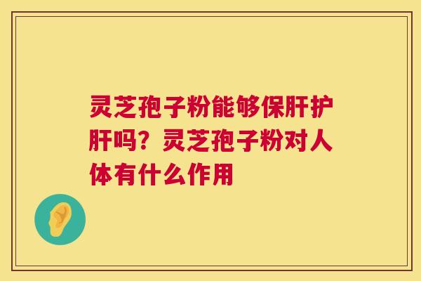 灵芝孢子粉能够保肝护肝吗？灵芝孢子粉对人体有什么作用  第1张