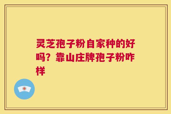 灵芝孢子粉自家种的好吗？靠山庄牌孢子粉咋样  第1张