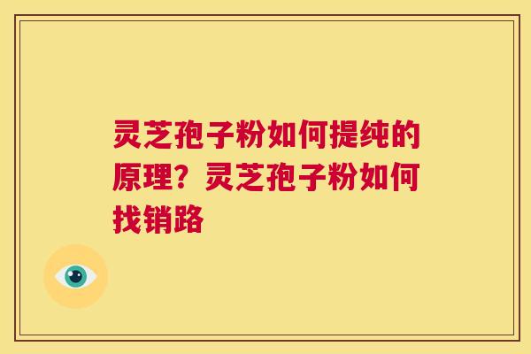 灵芝孢子粉如何提纯的原理？灵芝孢子粉如何找销路  第1张