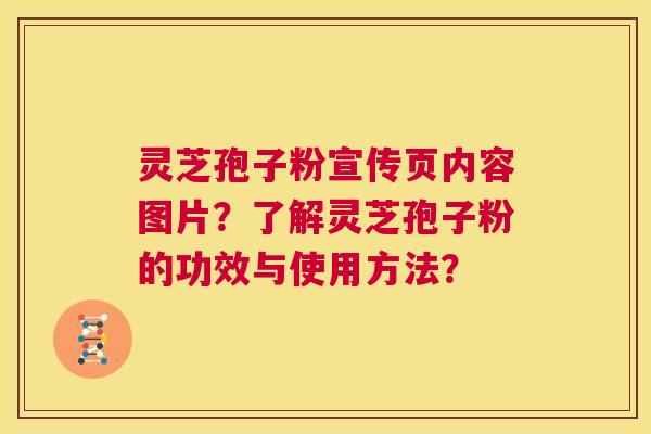 灵芝孢子粉宣传页内容图片？了解灵芝孢子粉的功效与使用方法？  第1张