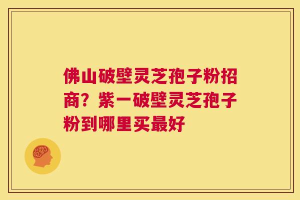 佛山破壁灵芝孢子粉招商？紫一破壁灵芝孢子粉到哪里买最好  第1张