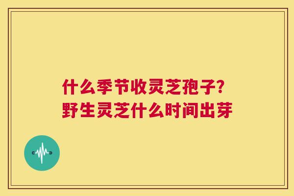 什么季节收灵芝孢子？野生灵芝什么时间出芽  第1张